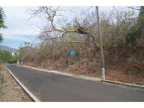 image 14